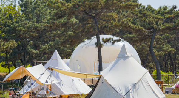 爱往度假养马岛营地