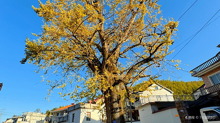 仙潭村第 1 张图片
