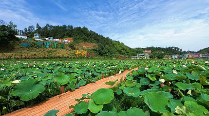 七彩长乐景区第 1 张图片