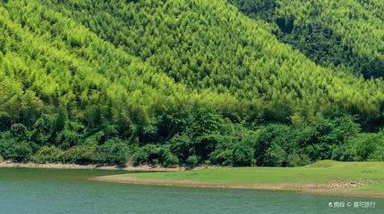 小杭坑1号营地第 1 张图片