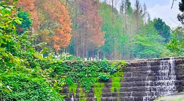 又一村(青城后山店)