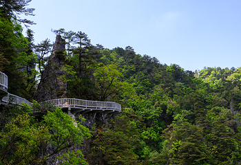 光雾山旅游景区第 113 张图片