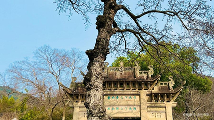 天平山第 1 张图片
