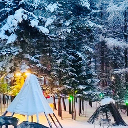 长白山雪绒花驯鹿园