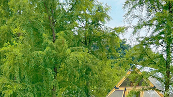 COMING·明月湖城市营地