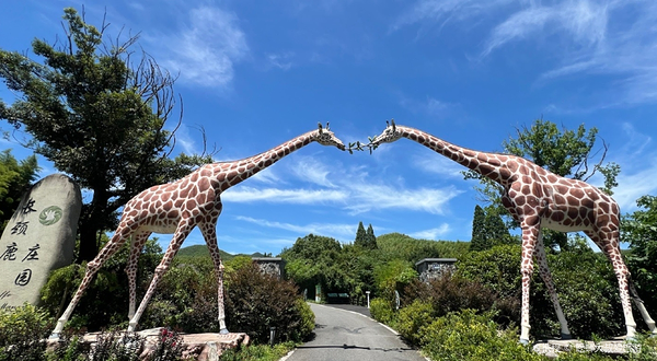 长颈鹿庄园萌宠部落