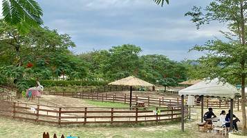 盈香生态园-欢乐岛