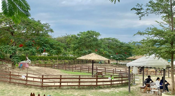 盈香生态园-欢乐岛