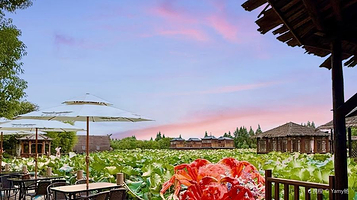 军山湖云水间生态农业旅游景区