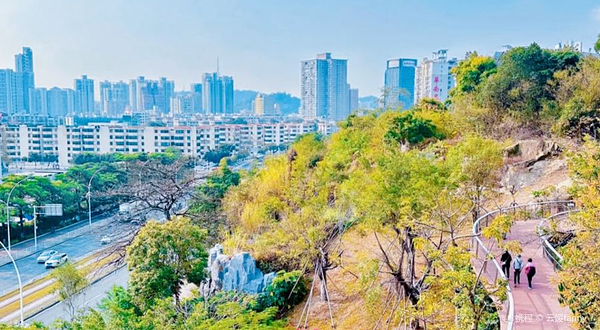 大镜山社区公园