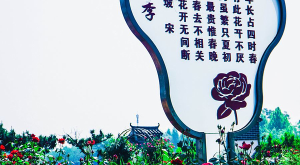 南阳月季大观园