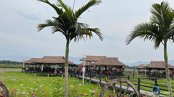 孟定南亚风情旅游区