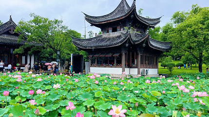 荷花风景区第 1 张图片