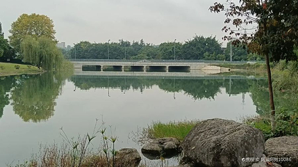 小岛花园城清水湾湿地公园第 1 张图片