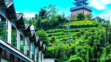 山与自然空间M SPACE