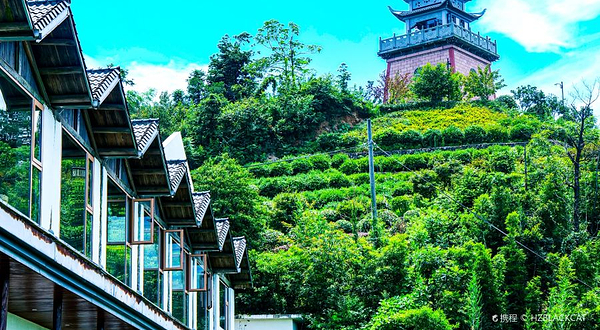 山与自然空间M SPACE