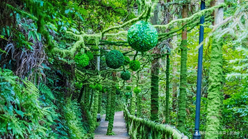 绿野仙踪(象山景区)