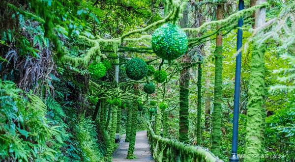 绿野仙踪(象山景区)