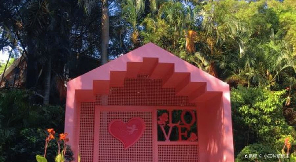 厦门园林博览苑-三角梅园