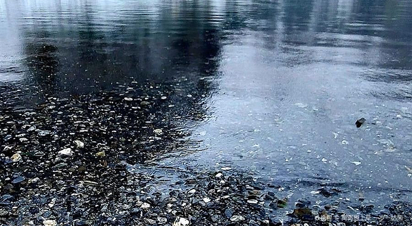 Oeschinen Lake Viewpoint