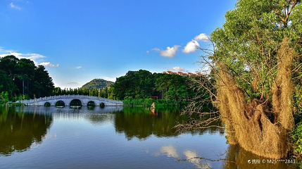 金山植物公园第 1 张图片