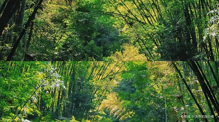 仙寓洞第 1 张图片