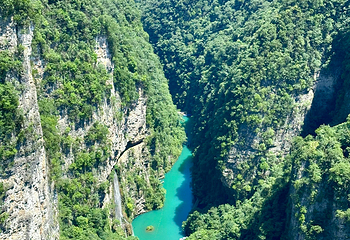 张家界大峡谷第 159 张图片