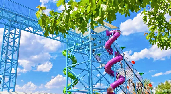 和平湾考拉一百亲子乐园