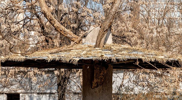 北京动物园-西区