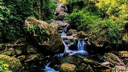 百花岭生态旅游区第 1 张图片