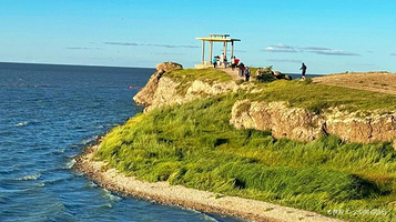 呼伦贝尔草甸草原