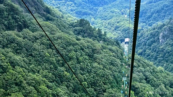 朱雀国家森林公园-高山草甸