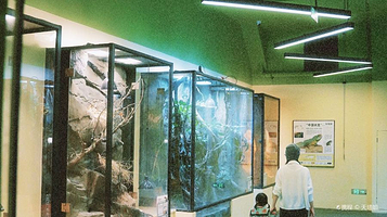 虫影自然博物馆