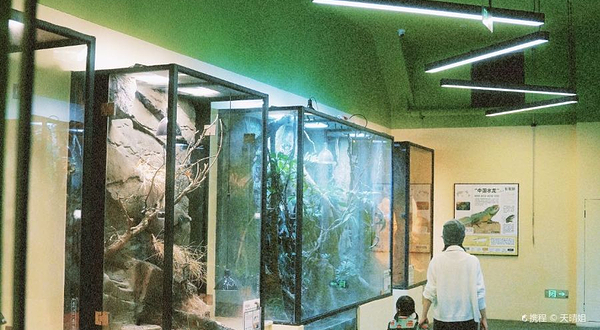 虫影自然博物馆