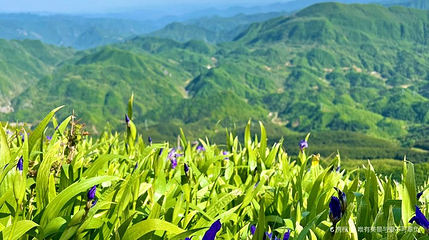 北羊山第 1 张图片