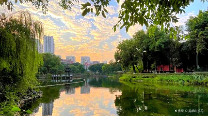 沙坪公园第 1 张图片