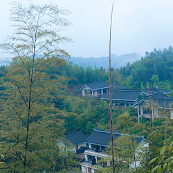 法王寺龙卦山