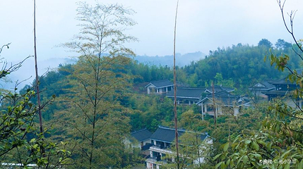 法王寺龙卦山第 1 张图片