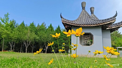 柳林南山公园第 1 张图片