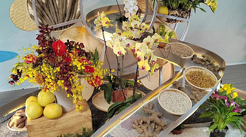 东南花都花博园