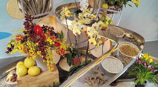 东南花都花博园