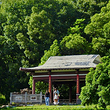 南京中山植物园-北园