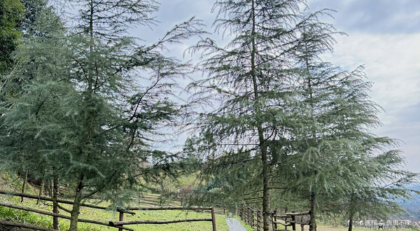 小绿球大地艺术山谷