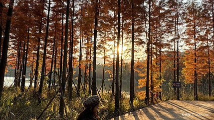凤凰山考古遗址公园第 1 张图片