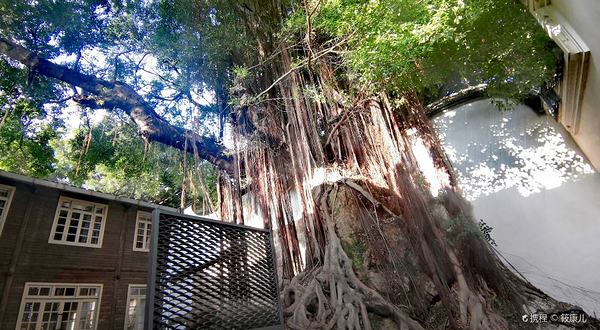 上下杭广场(中亭街H区店)