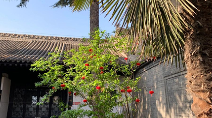 杨虎城故居第 1 张图片