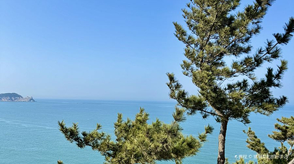 环海路三号观景平台第 1 张图片