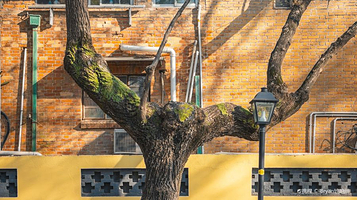 颐和路历史文化街区