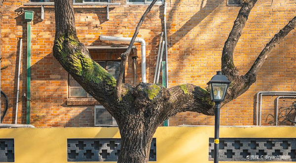 颐和路历史文化街区