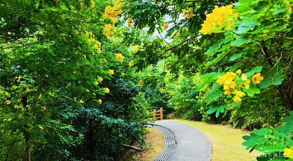 南蓬山森林公园